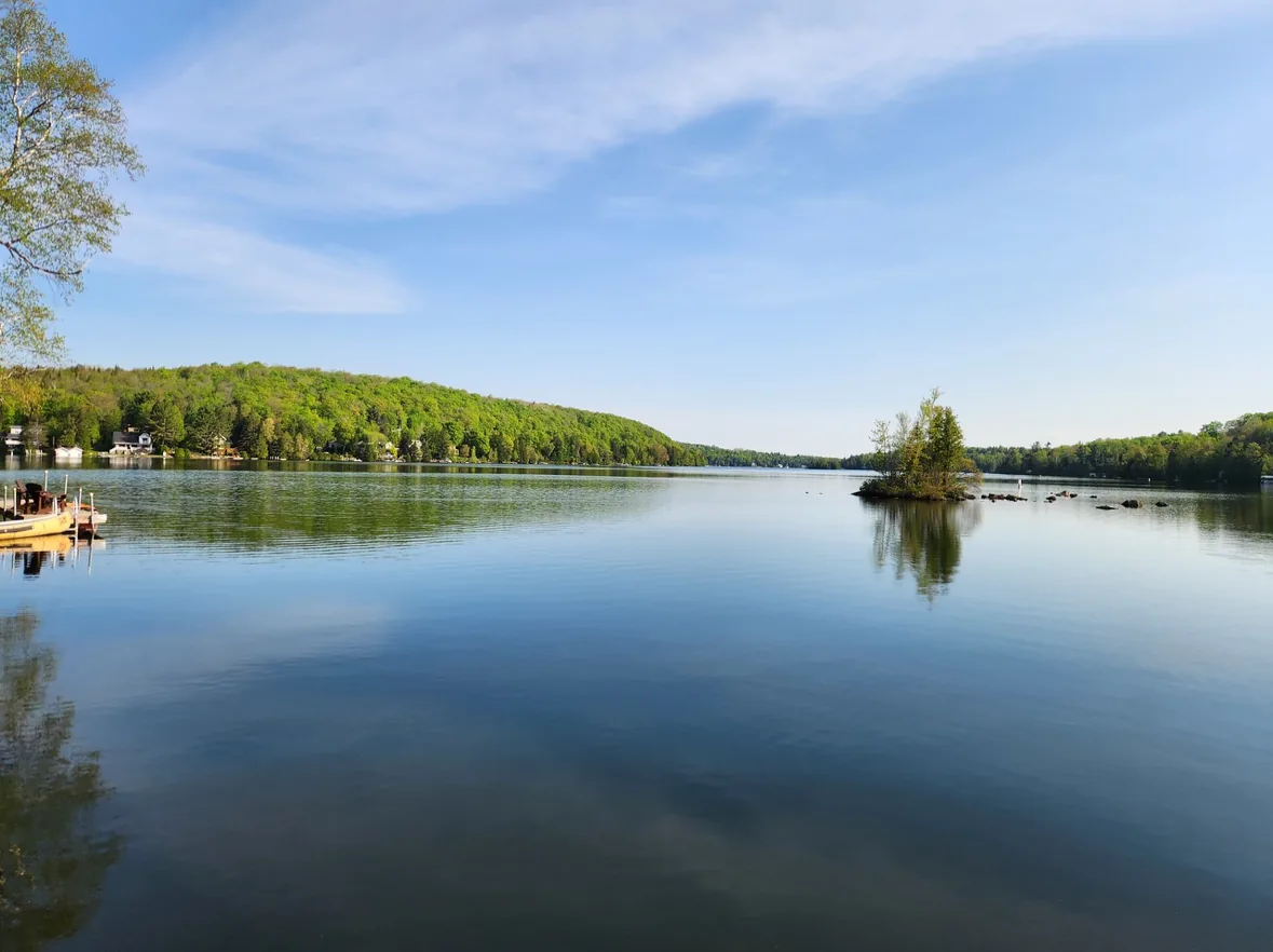 Été 06