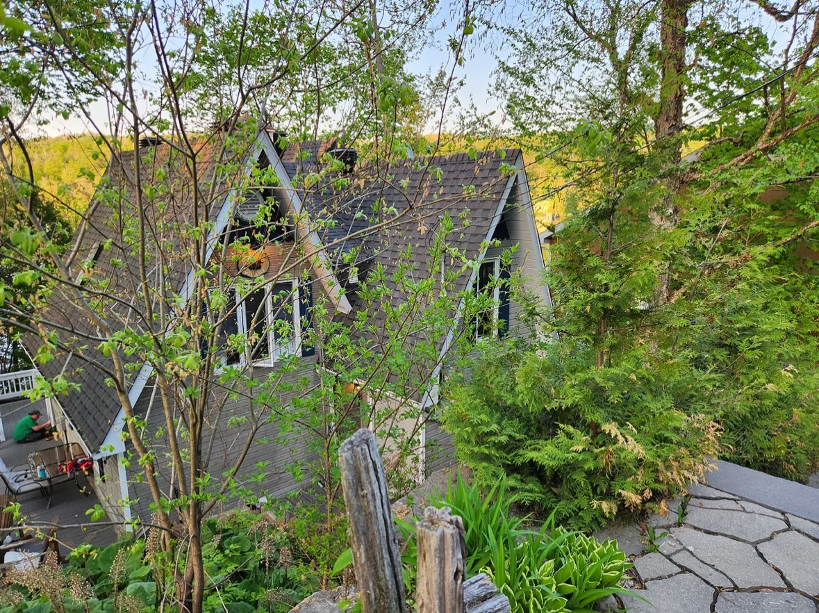 Été 11