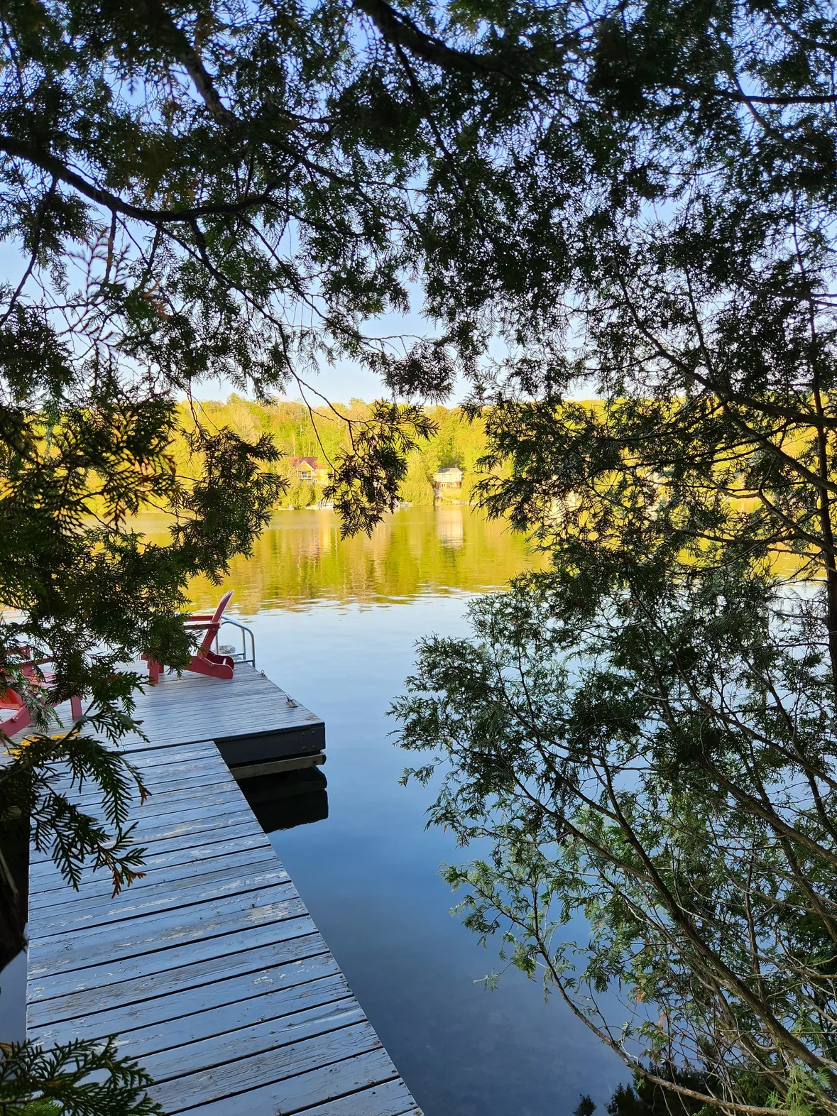 Été 12