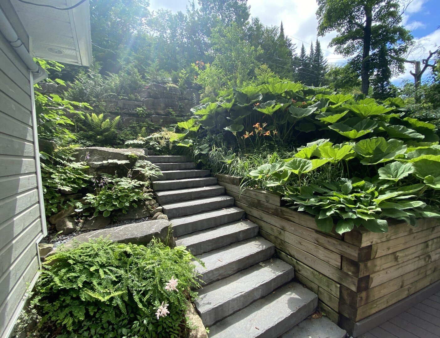 Escalier paysager